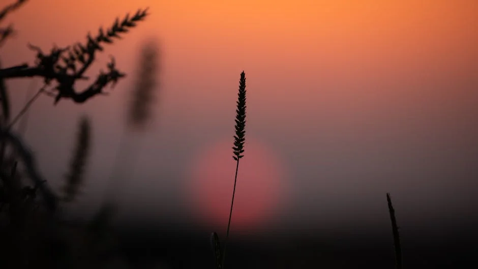 4,706 Kashmiri Pilgrims Head to Saudi Arabia for Hajj 2026 — Economy Business