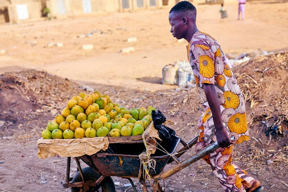 African Leaders Demand UNSC Reform for Permanent Seat — What It Means for Development — Economy Business