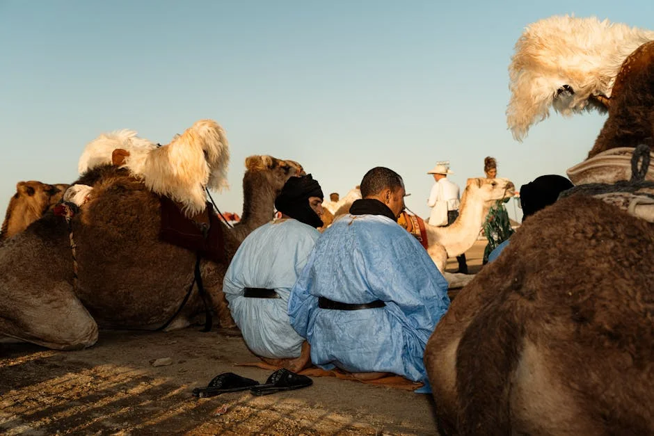 African Nations Sound Alarm as Middle East Tensions Threaten Economic Stability - Exploring the Impact on Development Goals — Economy Business