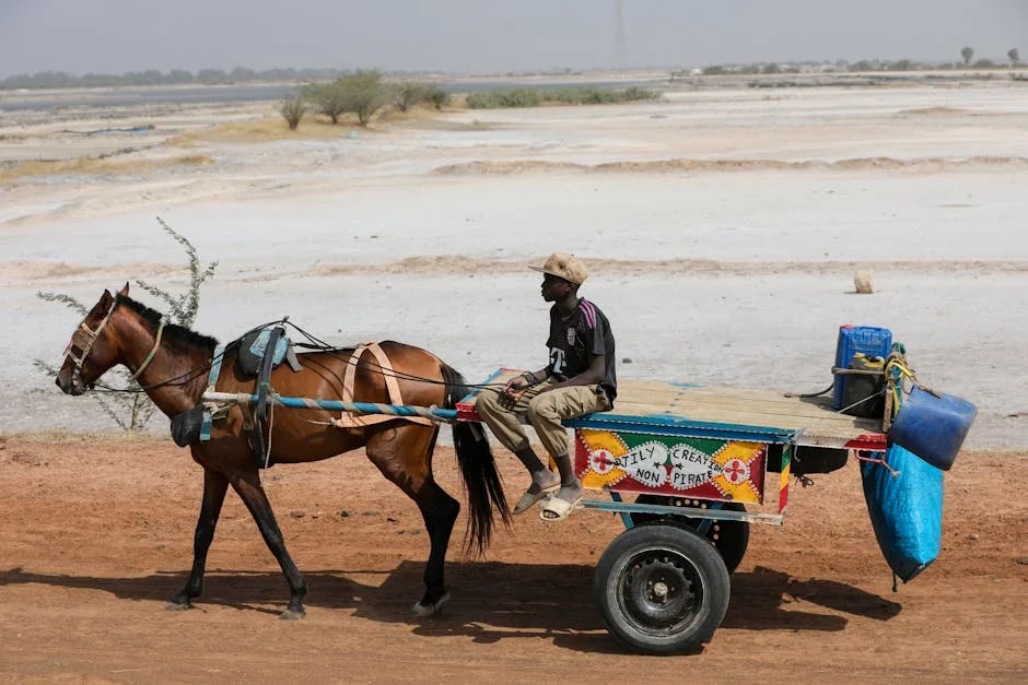 Africa's Migration Chaos Triggers $10 Billion Market Shift for Businesses — Politics Governance