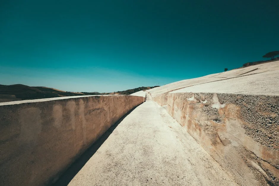 Alberto Exposes Isabel Moreira's Controversial Feminism — Here's Why It Matters — Economy Business