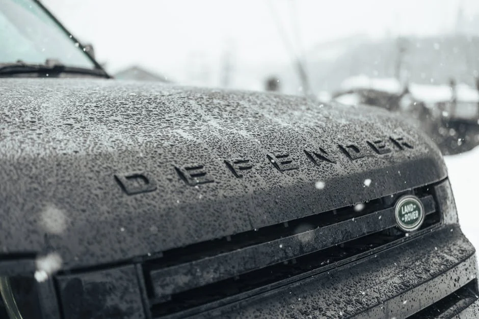 Allister Coetzee and Heyneke Meyer Bring Springbok Legacy to Defend Currie Cup: What It Means — Economy Business