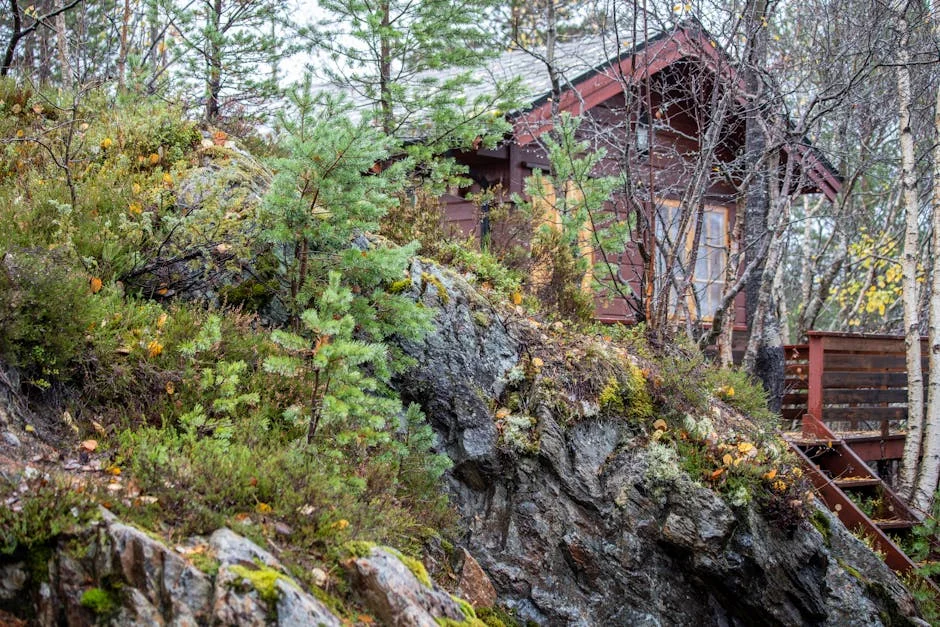 ANC Eyes DA Alliance in Gauteng as Key to Electoral Success - What Does It Mean for Africa's Development? — Economy Business