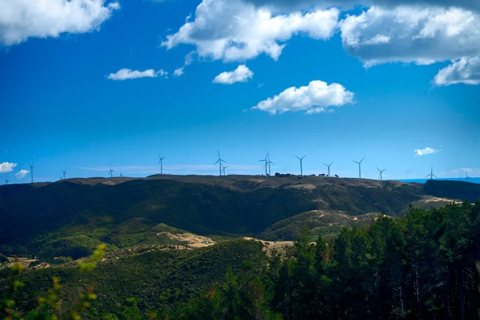 ANC Slams Winde's Outfit During Parliament: A Cultural Insult to South Africans — Economy Business