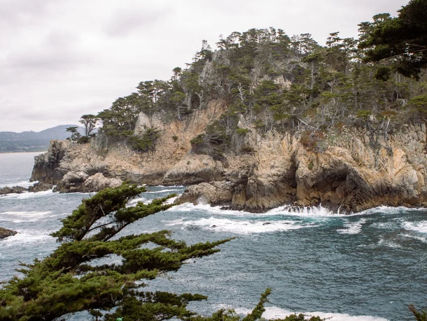 António Lobo Antunes Explores African Narratives: What It Means for Development — Economy Business