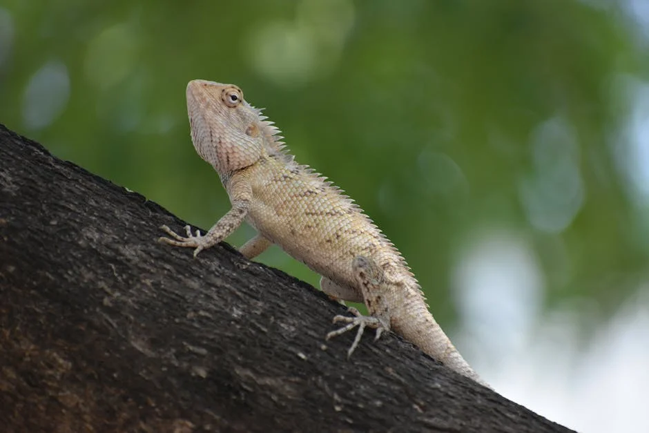 Arakkonam Police Arrest Two Youths for Drug Possession: What It Means for Local Development — Economy Business