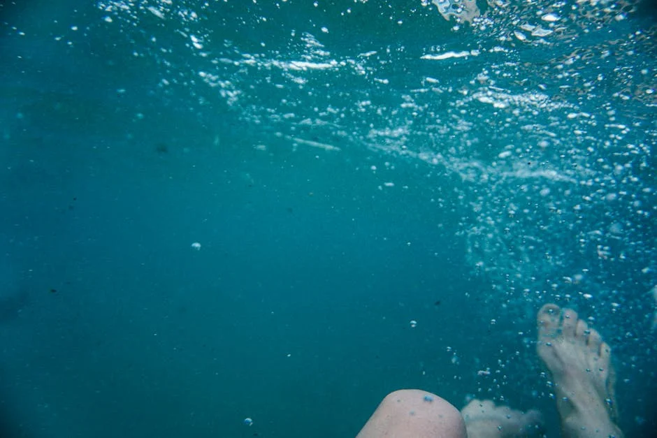 Australia Doubles Post-Study Visa Fee to AU $4,600: Impact on South African Students — Economy Business