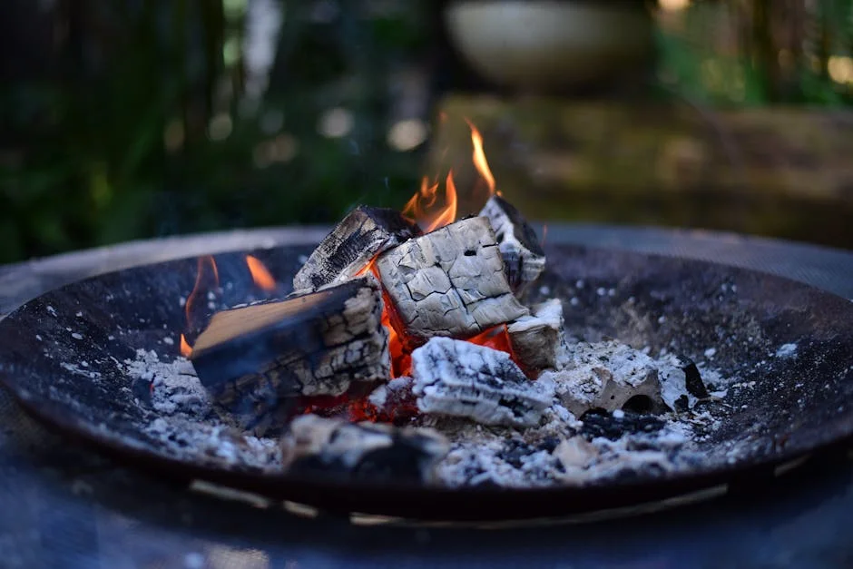 Australia's Unprecedented Fire Disrupts Fuel Supplies and Market Stability — Economy Business