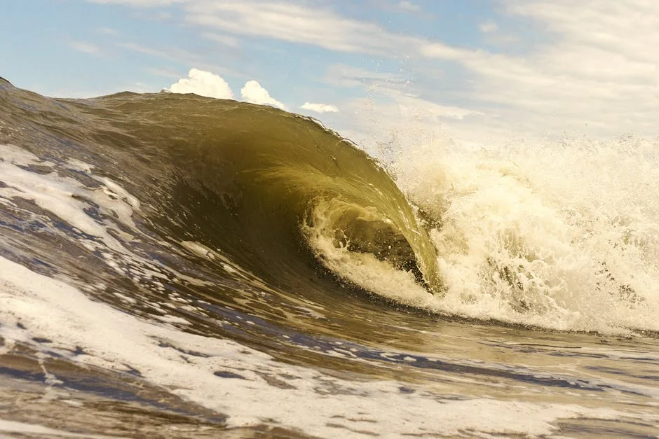 Authorities Warn of "Winter Sea" as Heatwave Hits South Africa — Economy Business