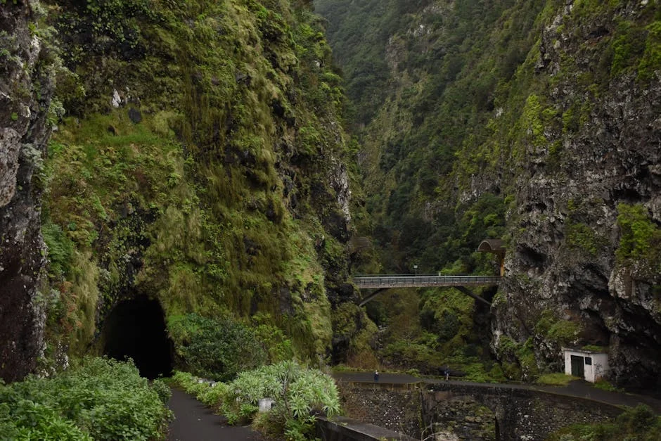 Azores Cultural Agents Demand Policy Centralisation — Economic Impacts Loom — Economy Business