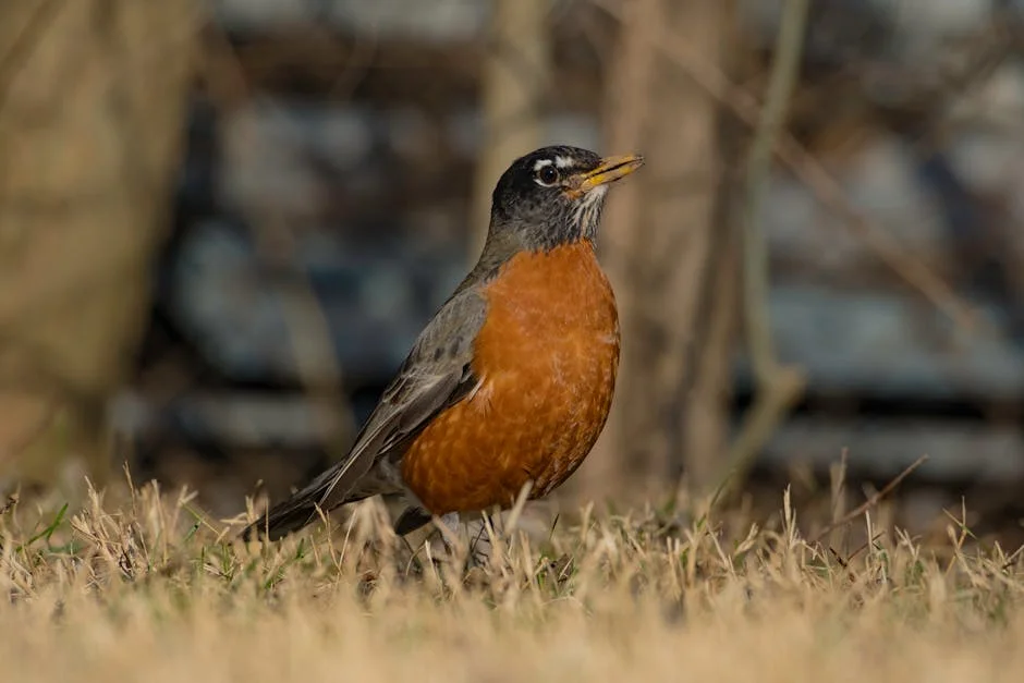 Babineaux Warns Atlanta Falcons: "Mantente en Tu Camino" — Economy Business