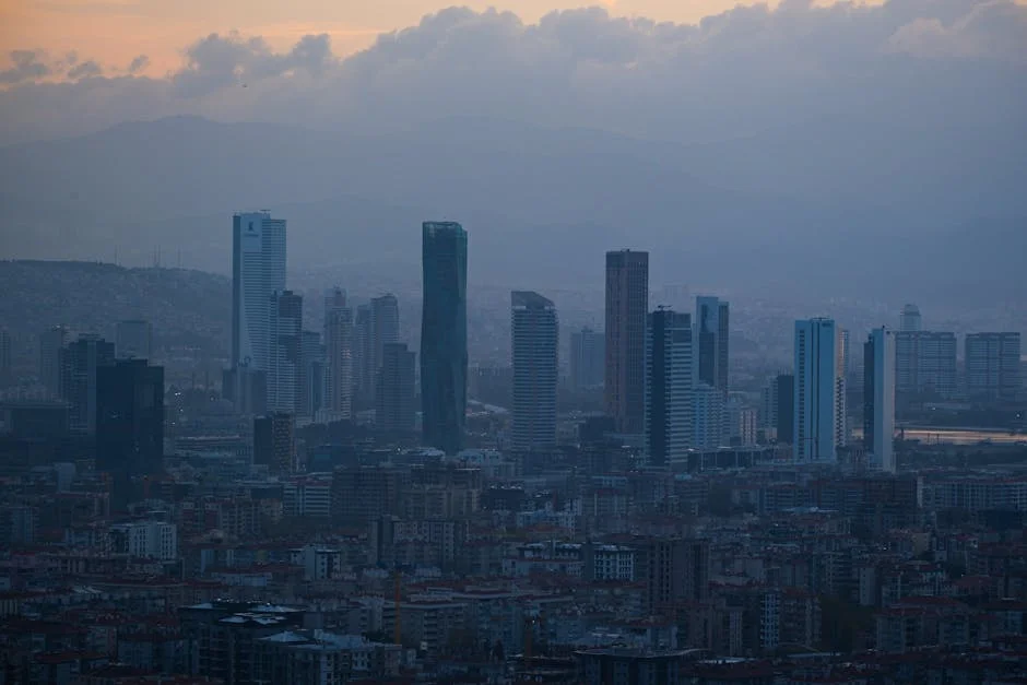 Bajaj Finance and Sun Pharmaceuticals Confirm Strategic Moves — Here's What It Means — Economy Business