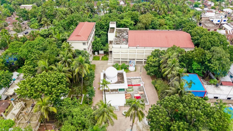 Balen Shah Secures 2/3rd Seats in Live Elections: What It Means for South Africa — Economy Business