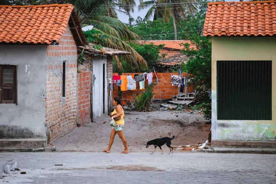 Bárbara Bandeira and Zé Amaro Nominated for US IPMA Awards — here's why it matters — Economy Business