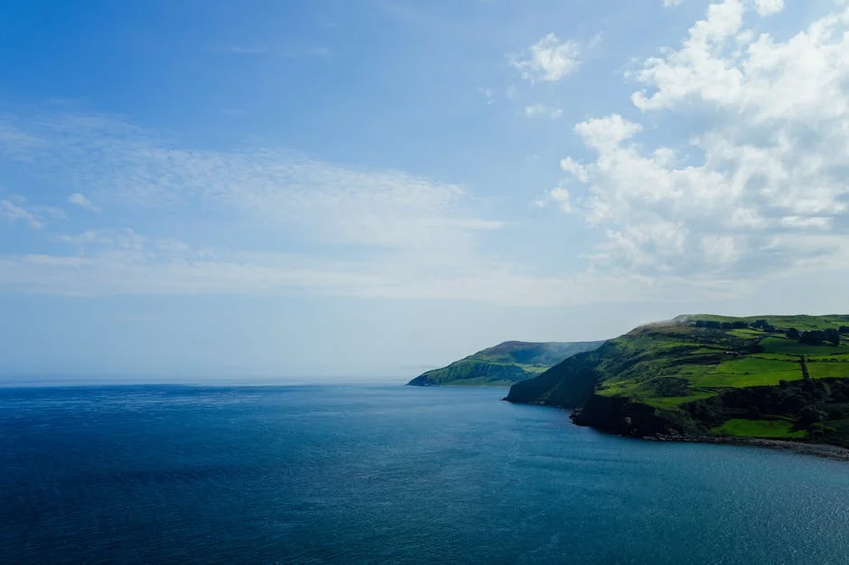 Belfast Lough Minister Denies Raw Sewage Posters Are Official — Politics Governance