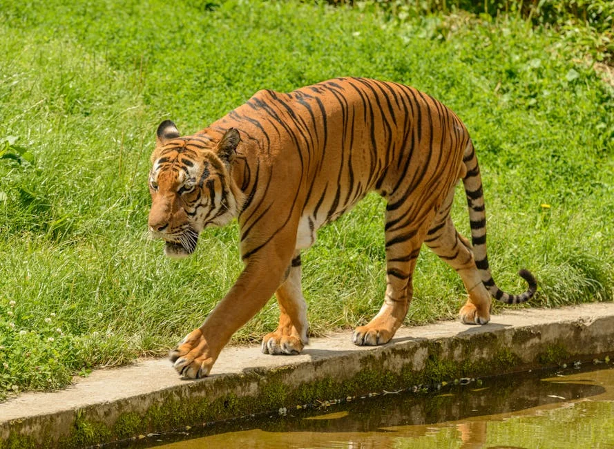 Bengal's Battle of Narratives Could Shake Regional Investment Climate — Economy Business