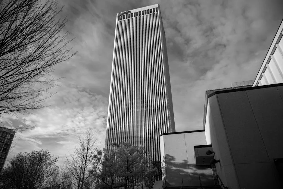 Boks Confirm Financial Strength as Baltimore Test Nears Sell-Out: What It Means for Rugby — Culture Arts