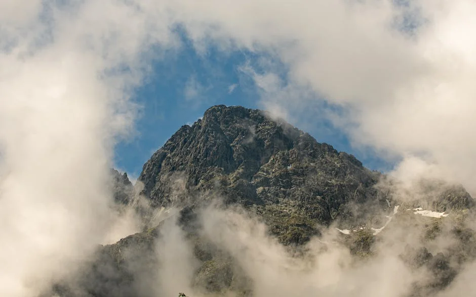 Braga Residents Discover Human Skull in Forest: What It Means for Local Authorities — Economy Business