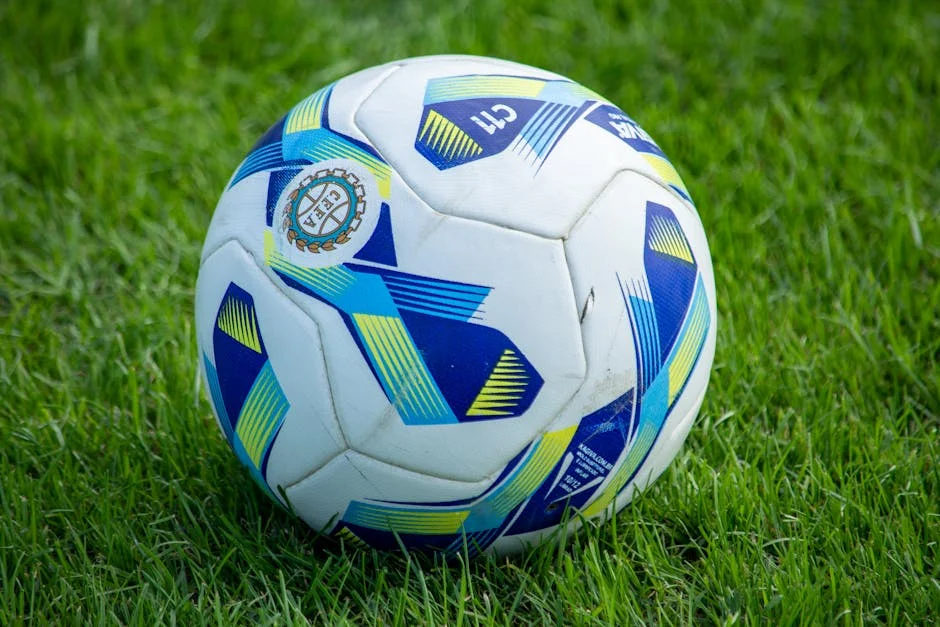 Brighton 3-0 Chelsea as Sky Sports Sees Share Drop in South Africa — Economy Business