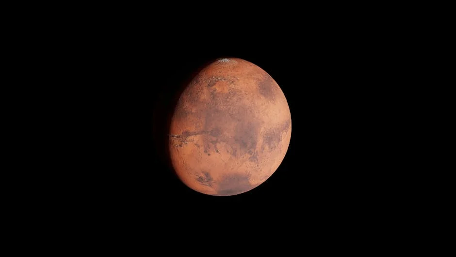 Britânica Arrow transforms Sonae's hotel assets into luxury pearls: what it means for Africa — Economy Business