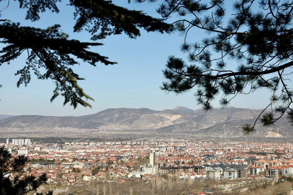 Bulgaria's Sunny Election Day Sparks Market Optimism — Politics Governance