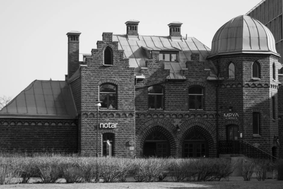 Canva Review Sparks Debate Over Digital Skills in South Africa