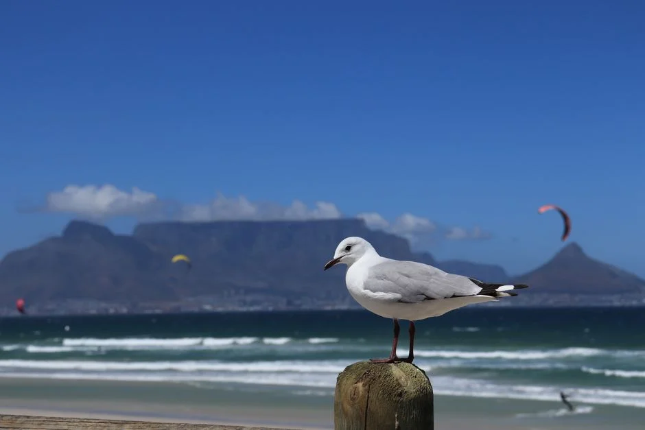 Cape Town Launches Free Winter Holiday Clubs — and the Savings for Parents Are Real