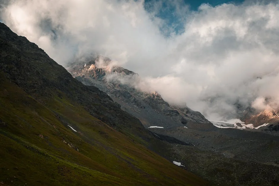 Catarina Correia Soares Joins Lopes Barata: What It Means for Legal Development in South Africa — Economy Business