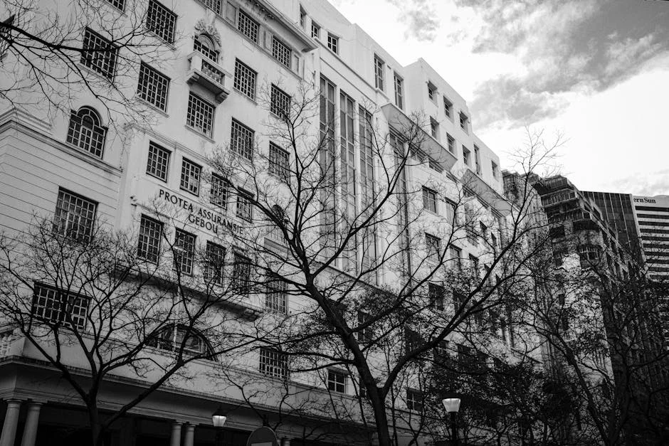 CNP Assurances Reveals €1.492 Billion Profits for 2025: What It Means for African Development — Economy Business