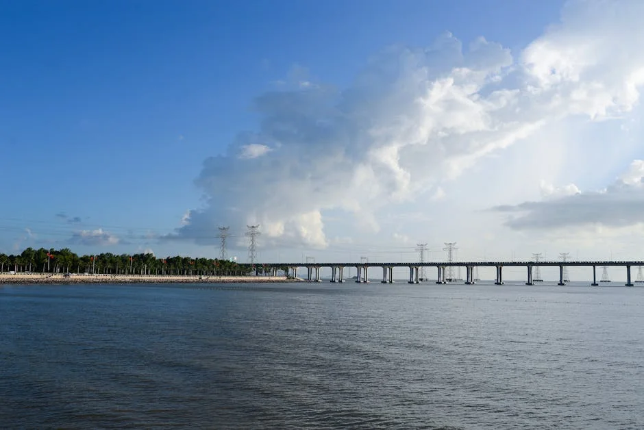 Colliers Acquires Portuguese Architect Firm WSS Tech: What It Means for Africa — Economy Business