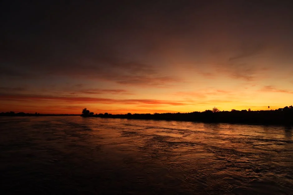 Com Ronaldo Boosts South Africa's Football Ambitions — But What's the Real Impact? — Economy Business