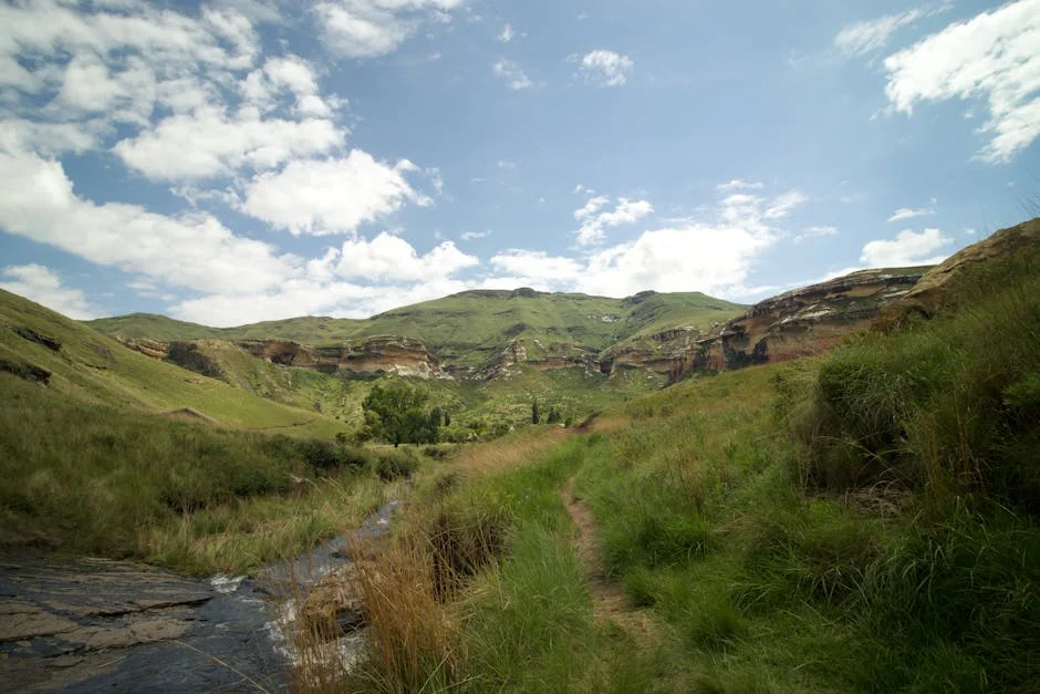 Continental Reveals Sustainable Tyre Production Plan — What It Means for Africa — Environment Nature