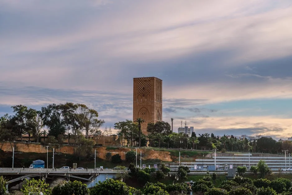 Custom Unveils New Jumbo Mall in Emalahleni — A Boost for Local Development — Environment Nature