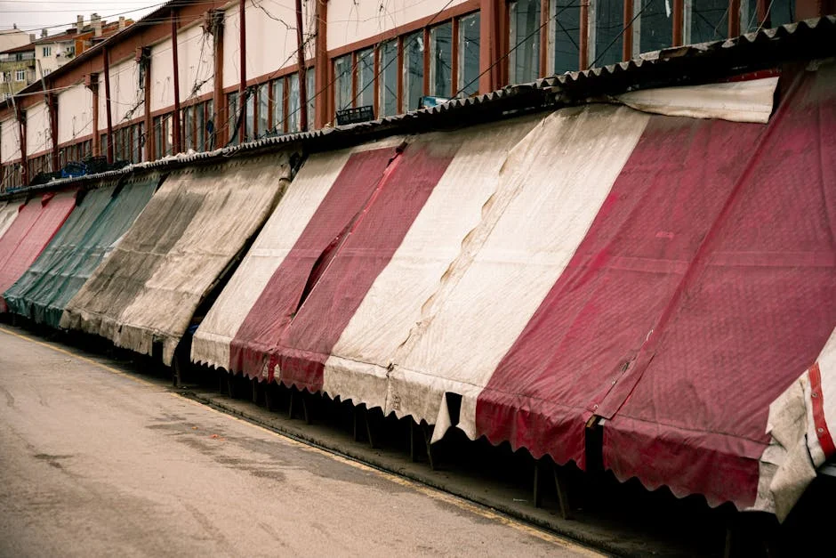 Depois Surges 12% After Market Downturn — What It Means for Africa's Economy — Economy Business