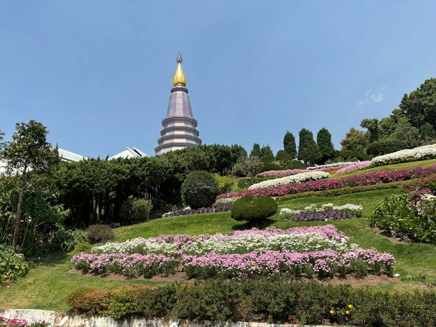 Dois Reveals Two Million Unused Dental Vouchers — and Here's Why It Matters — Economy Business