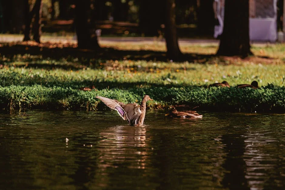 Ducks Aim for Victory in Game 5 — Economic Ripples Expected — Economy Business
