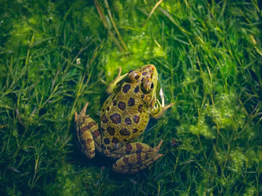 East Inflation Rises to 3.1% as Fuel Costs Pressures Surface — Politics Governance