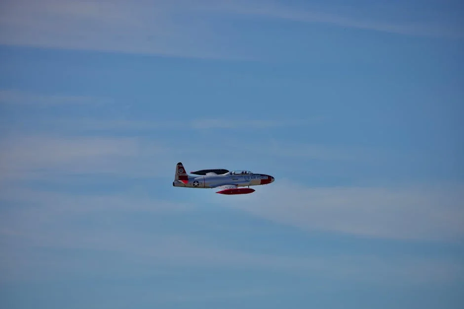 Economic Freedom Fighters Slam Showmax Closure: What It Means for South African Jobs — Economy Business