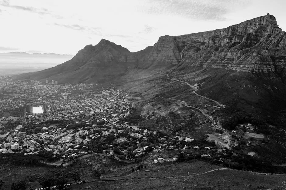 EFF and DA Celebrate High Court VAT Ruling: What It Means for South Africa — Economy Business