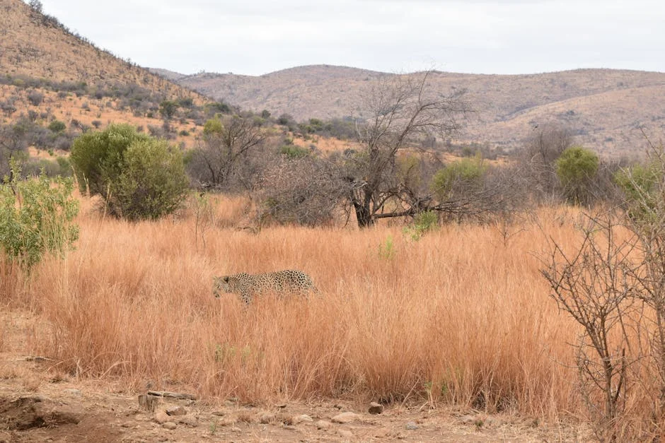 Ekurhuleni Exposes R1.8bn Toilet Tender: The Ximba Connection Uncovered — Economy Business