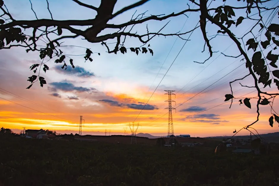 Eskom Faces Pressure to Transfer Grid Allocation — Economic Ripples Expected — Economy Business