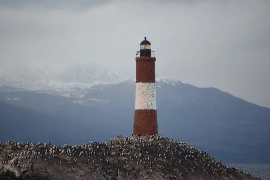 Estado Sells Five Properties to Raise R17.9 Million — What It Means for South Africa — Economy Business