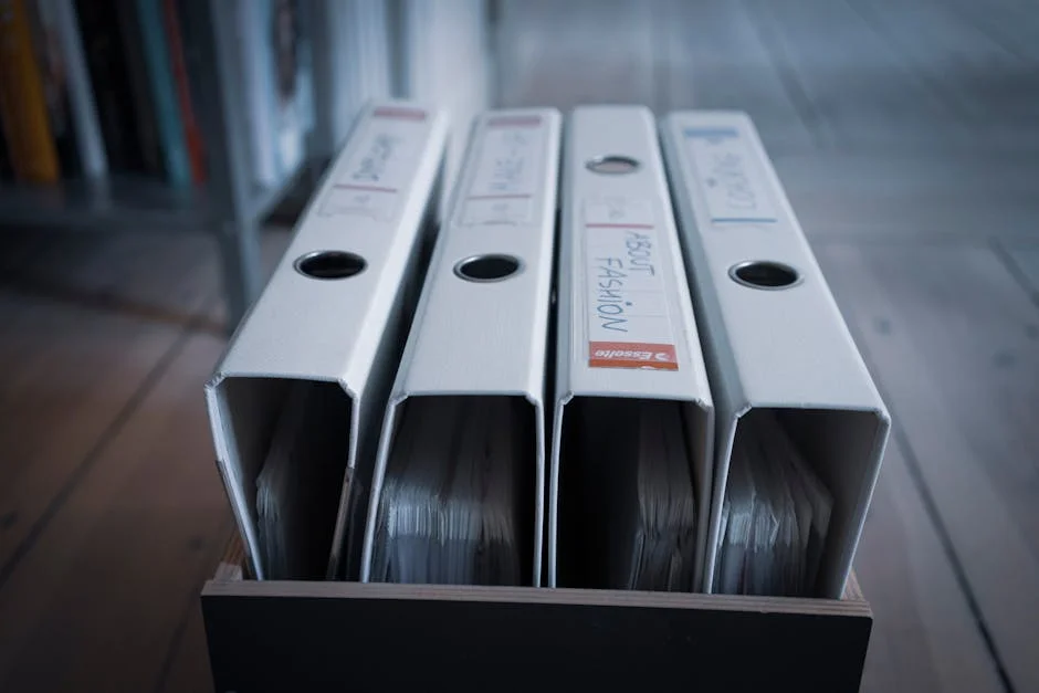 Estado Surpasses 2025 Forecast, Boosts Miranda Sarmento's Economic Plans — Economy Business