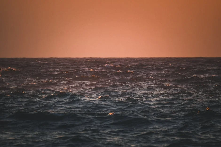 Experts Warn: Hormuz Closure Threatens South Africa's Energy Security — Environment Nature