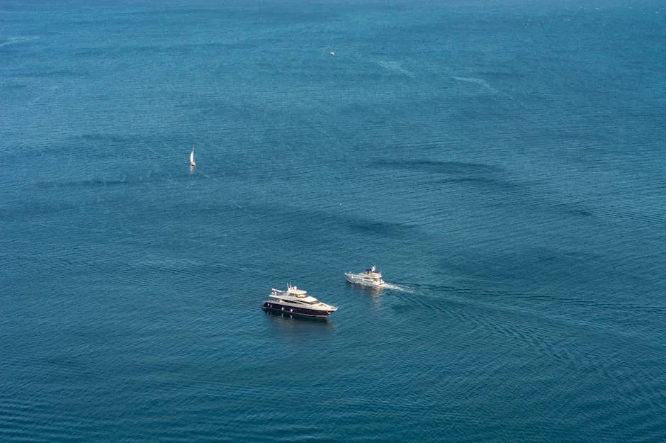 Sparks Life Worldwide