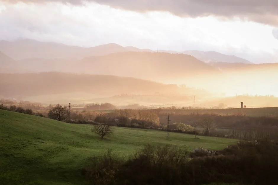 Innovative Coverage of Economic Issues — BlurryBay