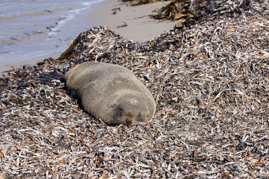 Ezemvelo Invites Private Partners to Revitalise South Coast Accommodation — What It Means for Tourism — Economy Business