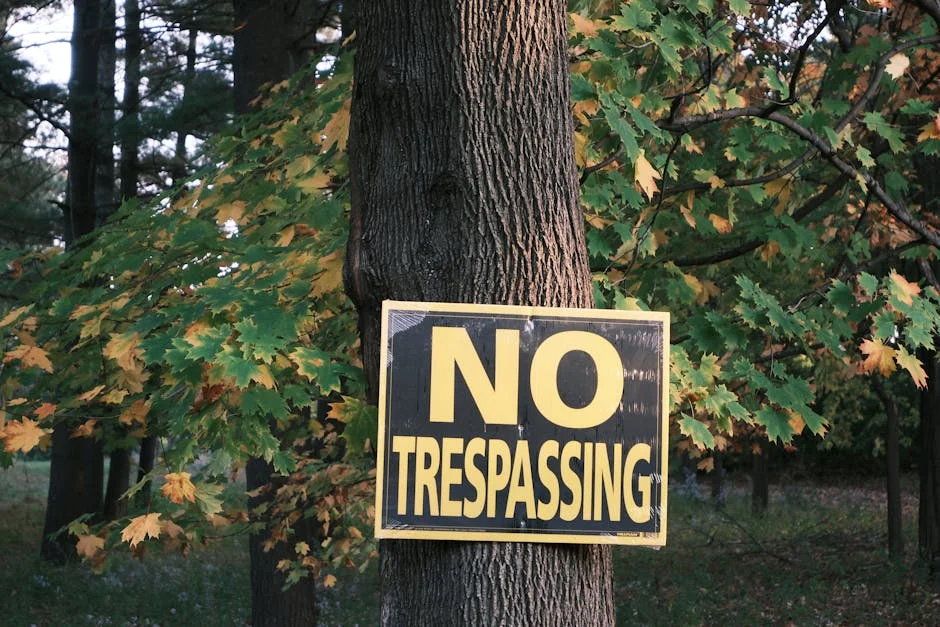 Ezra Klein Warns: How Fast Will A.I. Agents Rip Through the Economy?