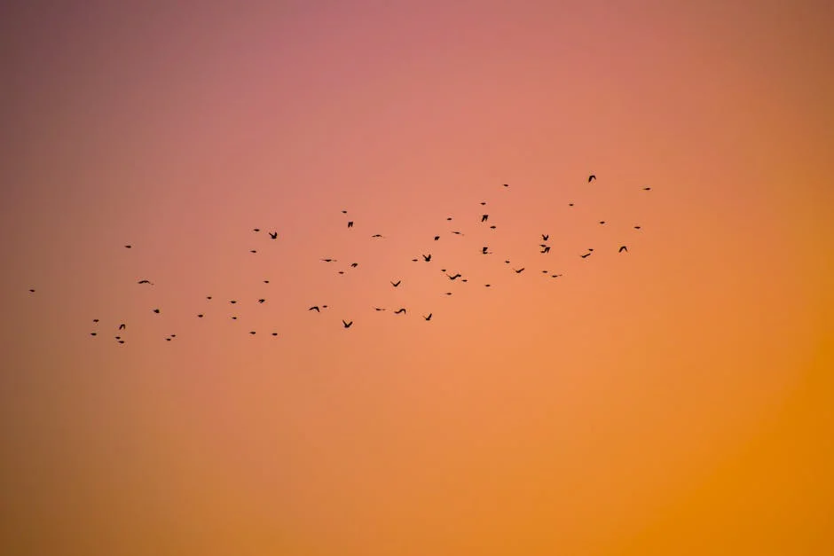 Fakhar, Farooq Lift Qalandars to Victory Over Pindiz — Economy Business