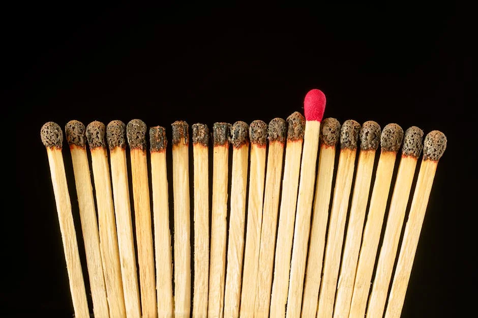 FC Dallas vs D.C. United: Lineup Notes Spark Debate in South Africa — Economy Business